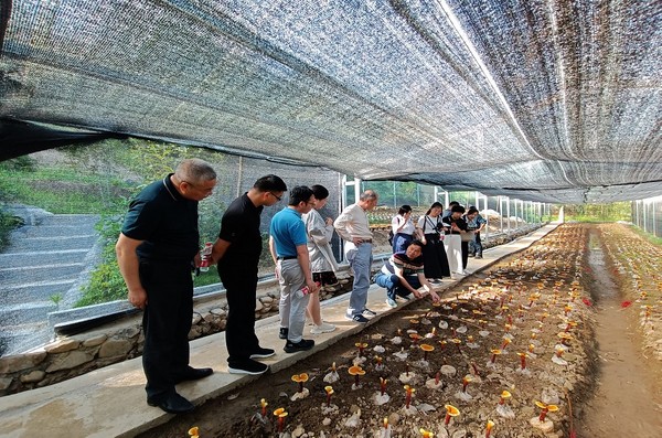 宣城市委黨校中青班調(diào)研.jpg